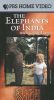 In the Wild: The Elephants of India with Goldie Hawn