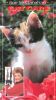 Rue McClanahan: The Cat Care Video Guide