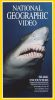 National Geographic: Shark Encounters