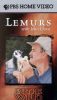 In the Wild: Lemurs with John Cleese
