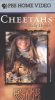 In the Wild: Cheetahs with Holly Hunter