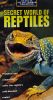 The Secret World of Reptiles