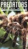 Predators of the Wild: Giant Tarantula