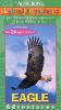 Audubon's Animal Adventures: Eagle