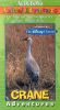 Audubon's Animal Adventures: Crane