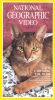 National Geographic: Cats - Caressing the Tiger