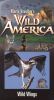 Marty Stouffer's Wild America: Wild Wings