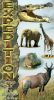 Expedition: The Ultimate Safari
