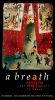 A Breath: Surviving the 20 Century in China