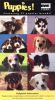 Puppies!