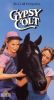 Gypsy Colt