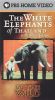 In the Wild: The White Elephants of Thailand with Meg Ryan