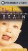 The Secret Life of the Brain, Part 1: The Baby's Brain - Wider Than The Sky