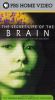 The Secret Life of the Brain, Part 3: The Teenage Brain - A World of Their Own