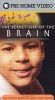 The Secret Life of the Brain, Part 2: The Child's Brain - Syllable From Sound