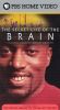 The Secret Life of the Brain, Part 4: The Adult Brain - To Think By Feeling
