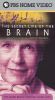 The Secret Life of the Brain, Part 5: The Aging Brain - Through Many Lives