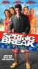 Spring Break Lawyer