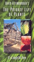 David Attenborough's The Private Life of Plants: Jungle Out There
