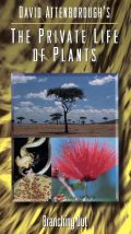 David Attenborough's The Private Life of Plants: Branching Out