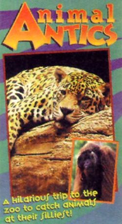 Animal Antics