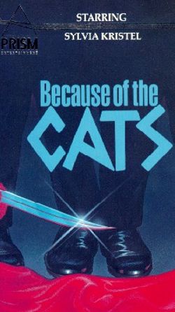 Because of the Cats