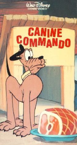 Canine Commando
