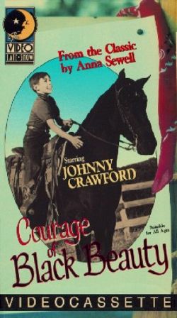 Courage of Black Beauty