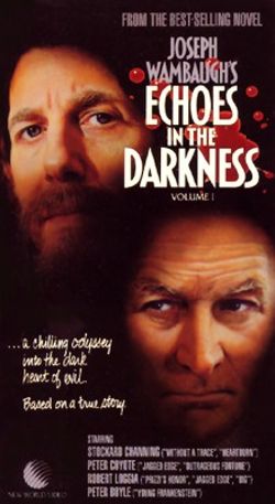 Echoes in the Darkness