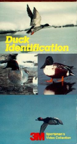 Duck Identification