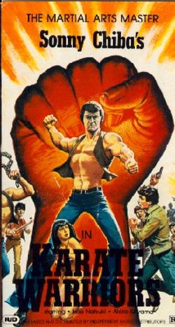 Karate Warriors