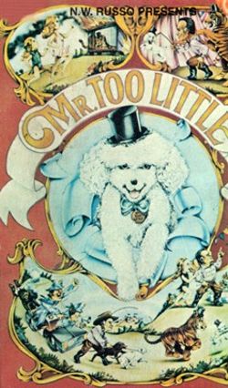 Mr. Too Little
