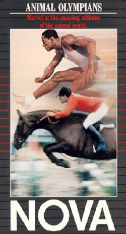 NOVA: Animal Olympians