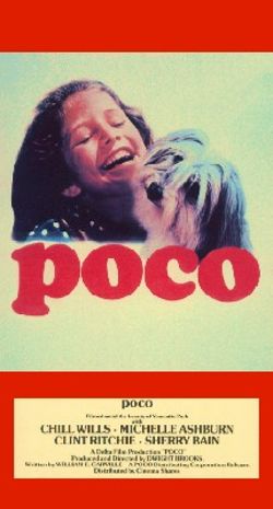 Poco: Little Dog Lost