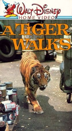 A Tiger Walks
