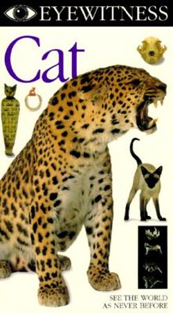 Eyewitness: Cat