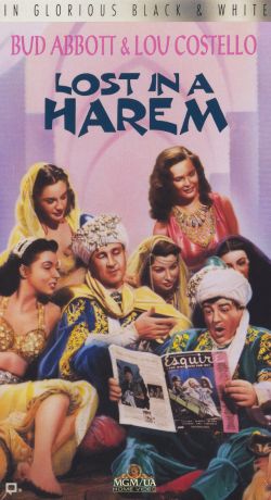 Lost in a Harem