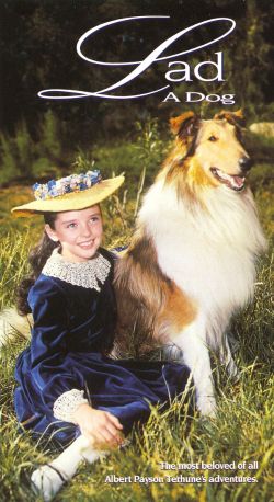 Lad: A Dog
