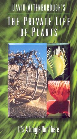 David Attenborough's The Private Life of Plants: Jungle Out There