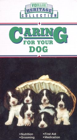Caring For Your Dog