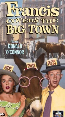 Francis Covers the Big Town
