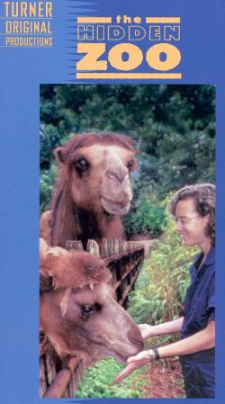 The Hidden Zoo