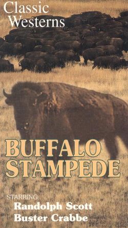 Buffalo Stampede