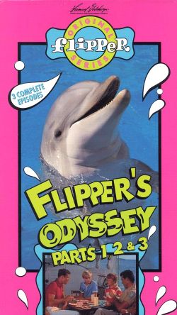 Flipper's Odyssey