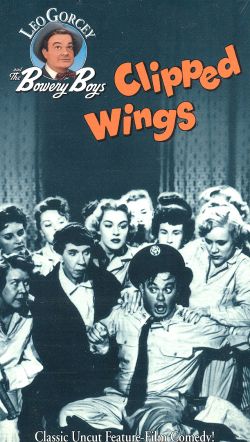 Clipped Wings
