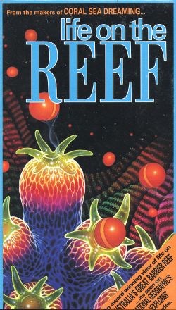 Life on the Reef