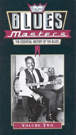 Blues Masters: The Essential History of the Blues, Vol. 2