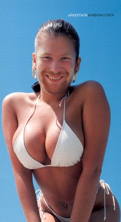 Aphex Twin: Windowlicker