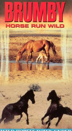 Brumby: Horse Run Wild - Horses Down Under