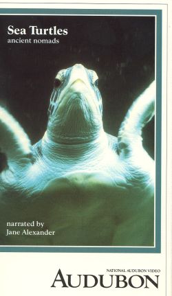 Audubon Video: Sea Turtles: Ancient Nomads